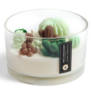 ae3c65d92bb91a2e66fa81b395d20675